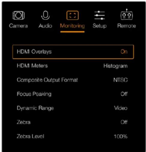 Blackmagic Design Micro Cinema Camera - Información superpuesta en señales HDMI - 1