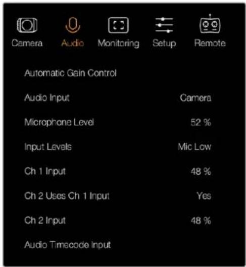 Blackmagic Design Micro Cinema Camera - Paramètres Audio - 2