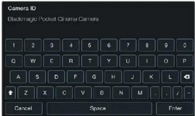 Blackmagic Design Micro Cinema Camera - Идентификатор камеры - 1