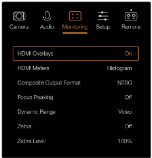 Blackmagic Design Micro Cinema Camera - HDMI Overlays (HDMI叠加) - 1
