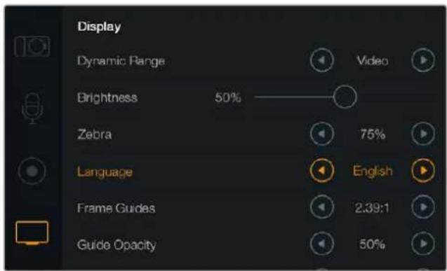 Blackmagic Design Micro Cinema Camera - Dil - 1