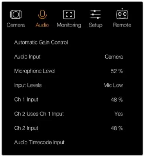 Blackmagic Design Micro Cinema Camera - Audio-Einstellungen - 2