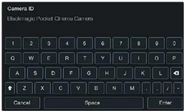 Blackmagic Design Micro Cinema Camera - 카메라 ID - 1