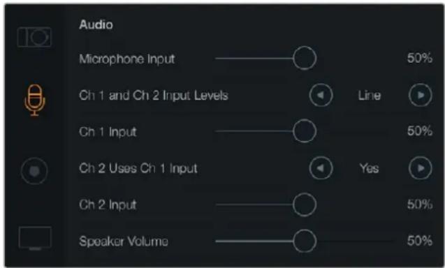 Blackmagic Design Micro Cinema Camera - Ajustes de audio - 1