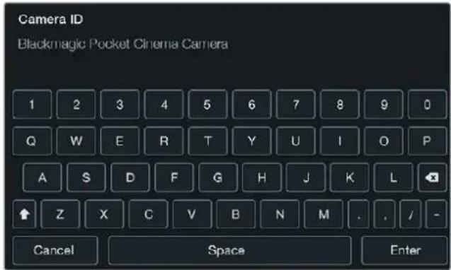 Blackmagic Design Micro Cinema Camera - Camera ID (摄影机ID) - 1