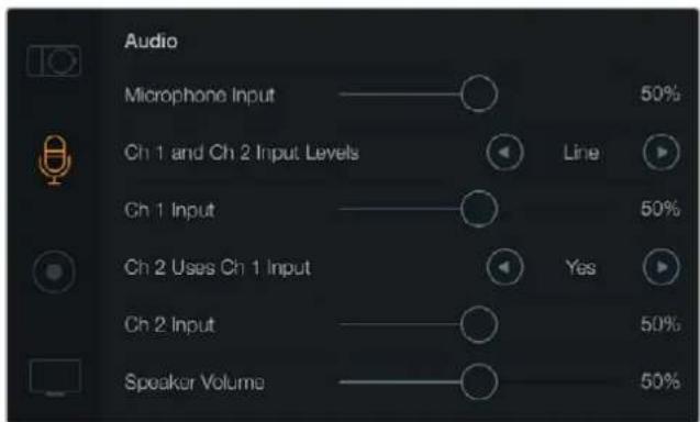 Blackmagic Design Micro Cinema Camera - 오디오(Audio) 설정 - 1