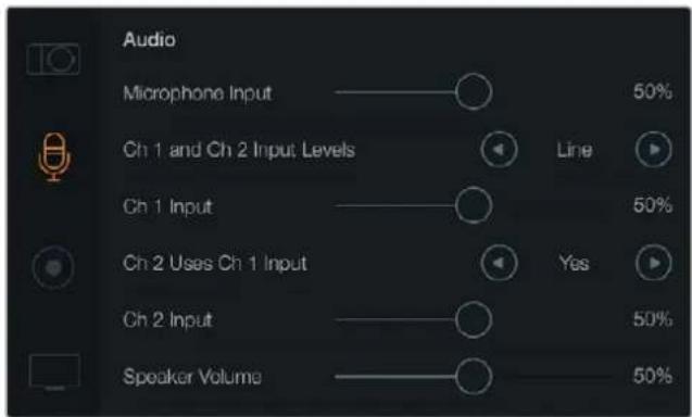 Blackmagic Design Micro Cinema Camera - Impostazioni audio - 1