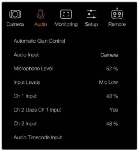 Blackmagic Design Micro Cinema Camera - Аудио - 2