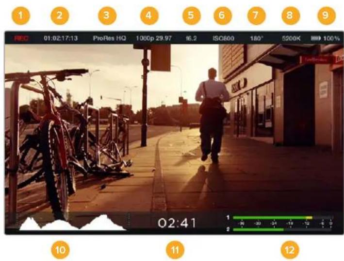 Blackmagic Design Micro Cinema Camera - Indicadores de actividad SD - 1