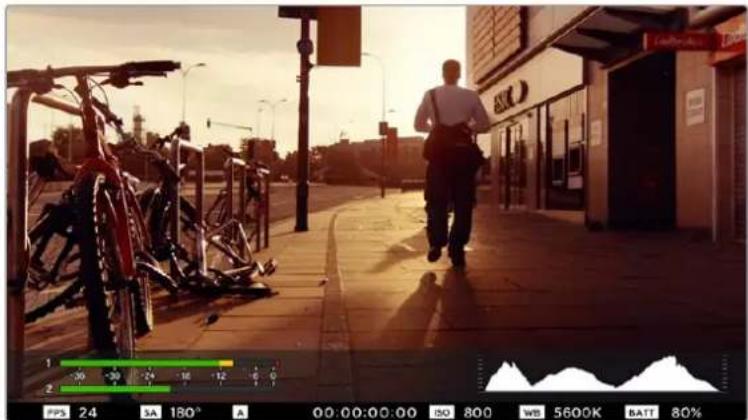Blackmagic Design Micro Cinema Camera - 피크 오디오 - 1