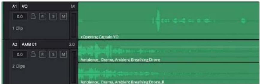 Blackmagic Design Micro Cinema Camera - Tracks - 1