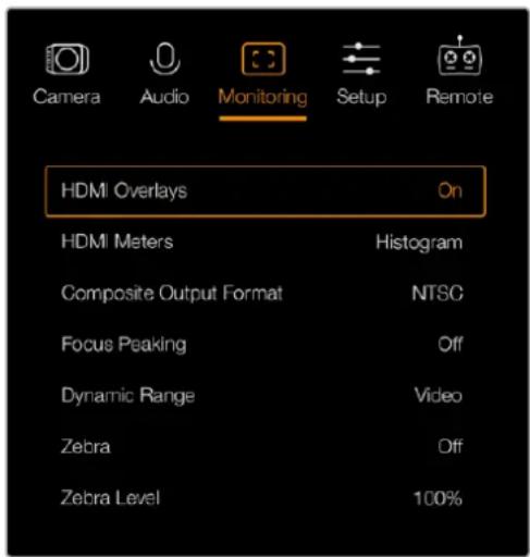 Blackmagic Design Micro Cinema Camera - HDMI Overlays - 1