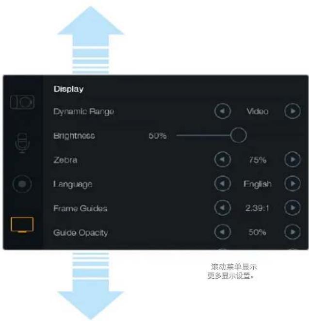 Blackmagic Design Micro Cinema Camera - 亮度 - 1