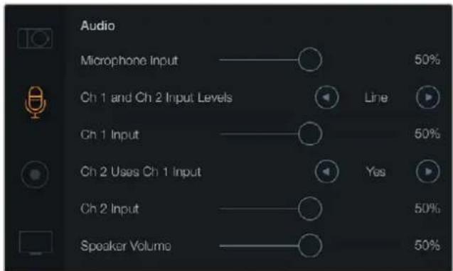 Blackmagic Design Micro Cinema Camera - Audio Settings - 1