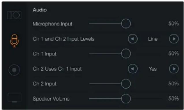 Blackmagic Design Micro Cinema Camera - Audio-Einstellungen - 1