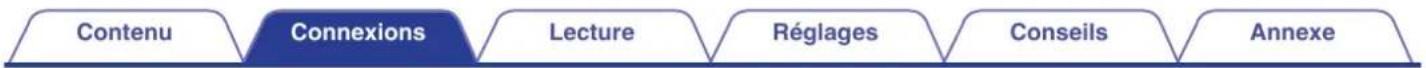 MARANTZ PM6007 - Cables utilisés pour les connexions - 2