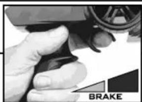 ARRMA Buggy Typhon 4x4 3S BLX - Hilfestellung - 18