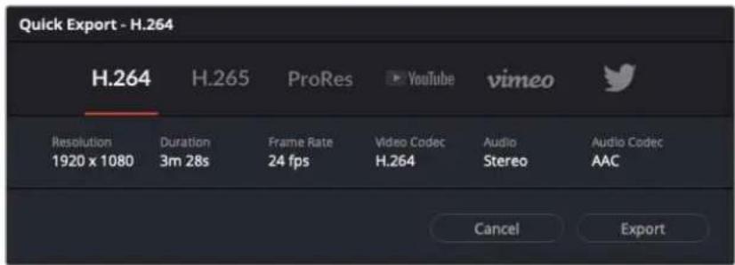 Blackmagic Design Pocket Cinema Camera 6K - Pour utiliser l'Exportation rapide : - 1