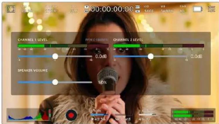 Blackmagic Design Pocket Cinema Camera 6K - Audio Meter - 2