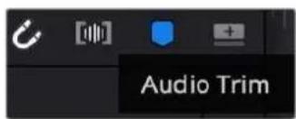 Blackmagic Design Pocket Cinema Camera 6K - To use Audio Trim view: - 1