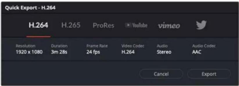 Blackmagic Design Pocket Cinema Camera 6K - So verwenden Sie Quick Export: - 1