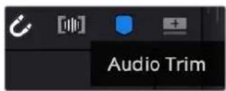 Blackmagic Design Pocket Cinema Camera 6K - Pour utiliser l'affichage Audio trim : - 1