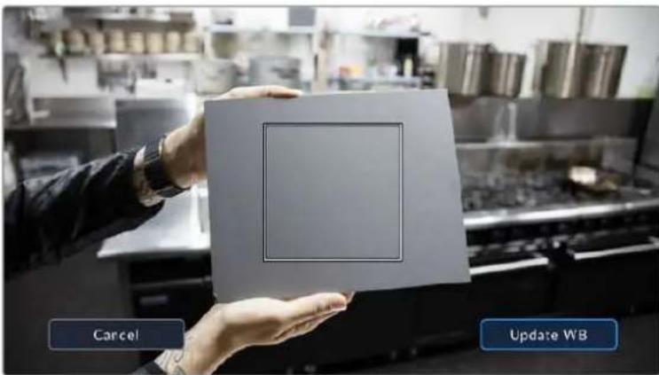 Blackmagic Design Pocket Cinema Camera 6K - Auto White Balance - 1
