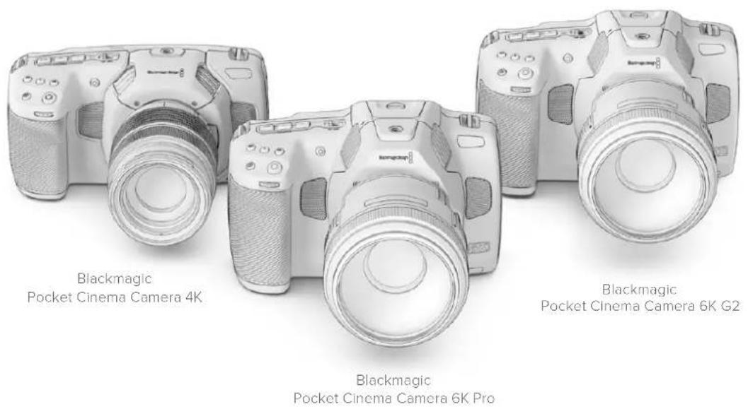 Blackmagic Design Pocket Cinema Camera 6K - Mit welcher Kamera arbeiten Sie? - 1
