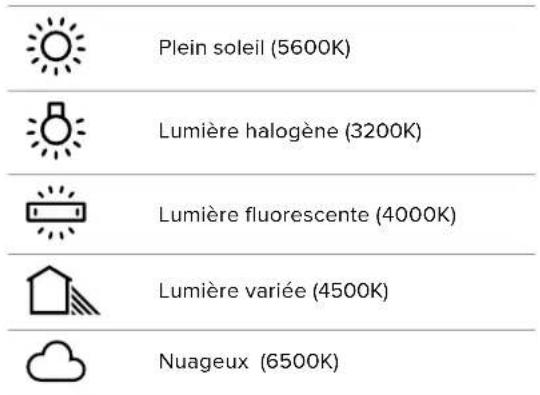 Blackmagic Design Pocket Cinema Camera 6K - Balance des blancs - 2