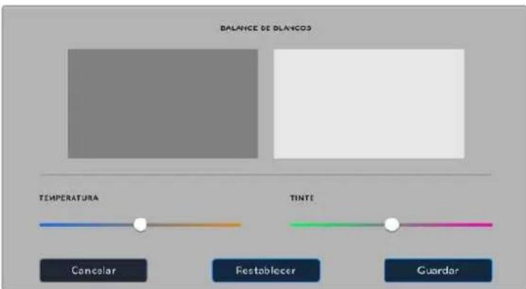 Blackmagic Design Pocket Cinema Camera 6K - Calibración del balance de blancos de la pantalla - 1