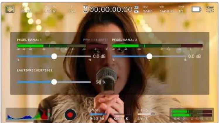 Blackmagic Design Pocket Cinema Camera 6K - Audiopegelmeter - 2