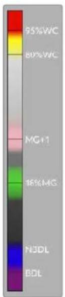 Blackmagic Design Pocket Cinema Camera 6K - False Color - 1