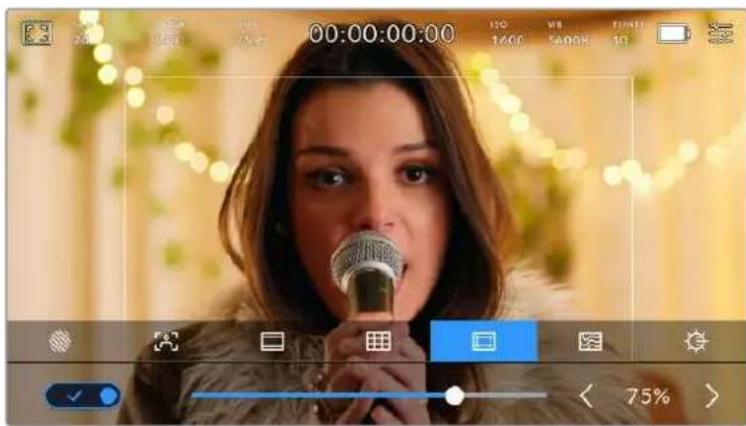 Blackmagic Design Pocket Cinema Camera 6K - Zone de sécurité - 1