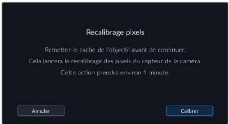 Blackmagic Design Pocket Cinema Camera 6K - Recalibrage pixels - 1