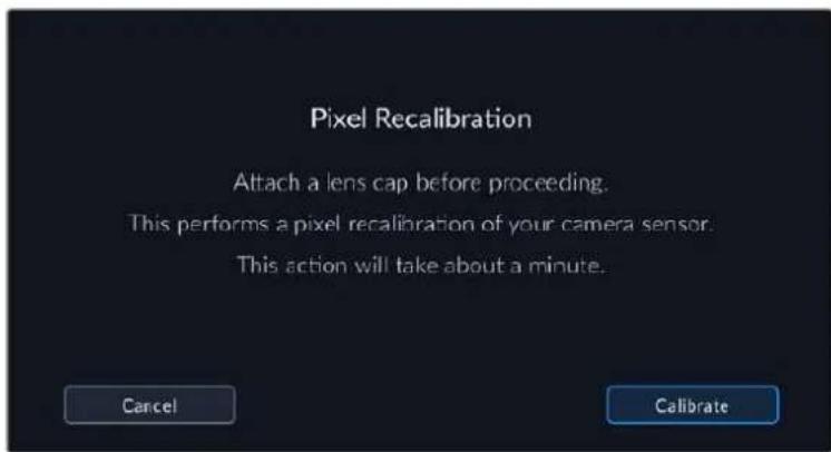 Blackmagic Design Pocket Cinema Camera 6K - Pixel Recalibration - 1