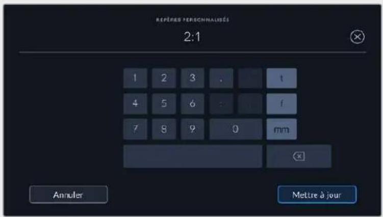 Blackmagic Design Pocket Cinema Camera 6K - Ratios de repères de cadrage personnelisés - 1