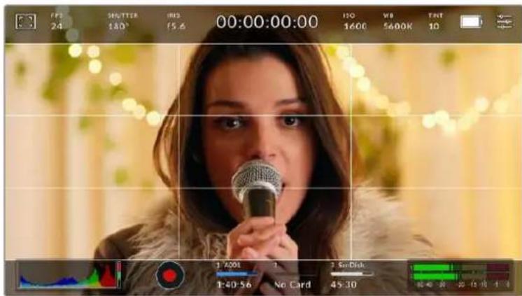 Blackmagic Design Pocket Cinema Camera 6K - Grids - 2