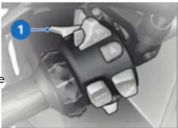 BMW R 1250 GS (2020) - Appel d'urgence en cas de chute grave - 1