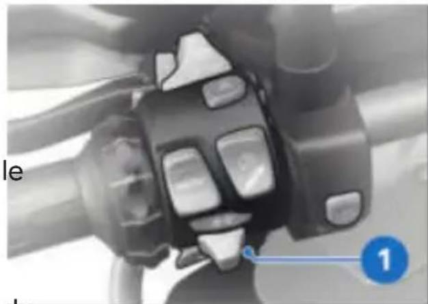 BMW R 1250 GS (2020) - Clignotants confort - 1