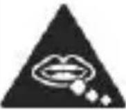YEZZ Andy 4E2 - General security - 5