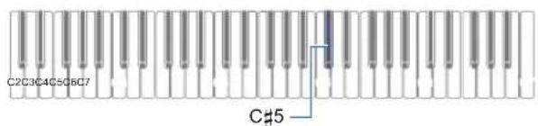 CASIO Casiotone CTS100 - Tout en maintainant enforcé FUNCTION, appuyez sur la touche du clavier C#5. - 1
