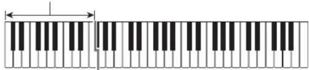 CASIO Casiotone CTS100 - CASIO CHORD - 1