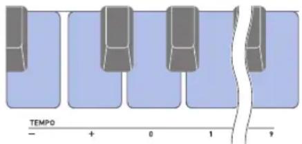 CASIO Casiotone CTS100 - Changement du tempo (vitesse) d'une chanson - 1