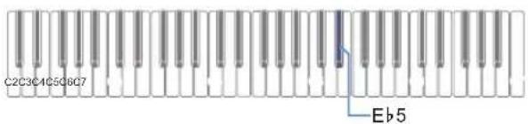 CASIO Casiotone CTS100 - Tout en maintainant enforcé FUNCTION, appuyez sur la touche du clavier Eb5 pour démarrer l'initialisation. - 1