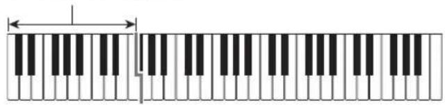 CASIO Casiotone CTS100 - ■FINGERED - 1