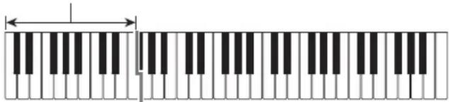 CASIO Casiotone CTS100 - Jouer un accord pour réaliser un accompagnement de rythme - 1