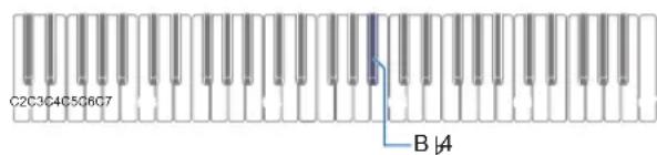 CASIO Casiotone CTS100 - Tout en maintainant enforcé FUNCTION, appuyez sur la touche du clavier B ^b 4. - 1