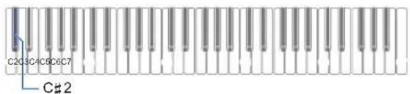 CASIO Casiotone CTS100 - Tout en maintainant enforcé FUNCTION, appuyez sur la touche du clavier C#2. - 1