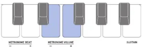 CASIO Casiotone CTS100 - Changement du niveau de volume sonore du métronome - 1