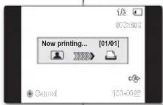 SAMSUNG VPD391i - Annulation de l'impression - 4